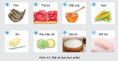 Công nghệ 6 bài 4 Kết nối tri thức