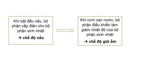 [Kết nối tri thức và cuộc sống] Giải công nghệ 6 bài Ôn tập chương IV