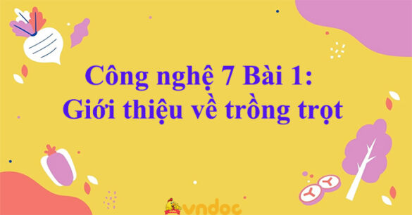 Công nghệ 7 Bài 1: Giới thiệu về trồng trọt