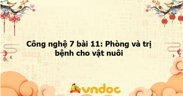 Công nghệ 7 bài 11: Phòng và trị bệnh cho vật nuôi - KNTT