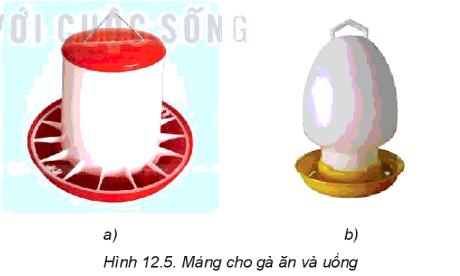 Công nghệ 7 sách KNTT