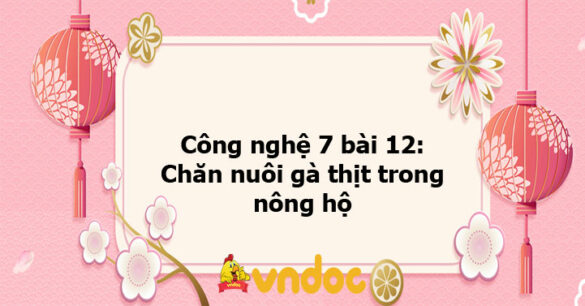 Công nghệ 7 bài 12: Chăn nuôi gà thịt trong nông hộ - KNTT