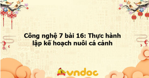 Công nghệ 7 bài 16: Thực hành lập kế hoạch nuôi cá cảnh - KNTT