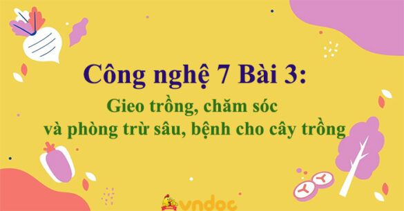 Công nghệ 7 Bài 3: Gieo trồng, chăm sóc và phòng trừ sâu, bệnh cho cây trồng