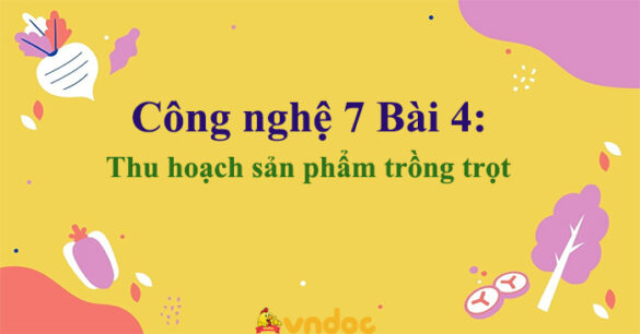 Công nghệ 7 Bài 4: Thu hoạch sản phẩm trồng trọt