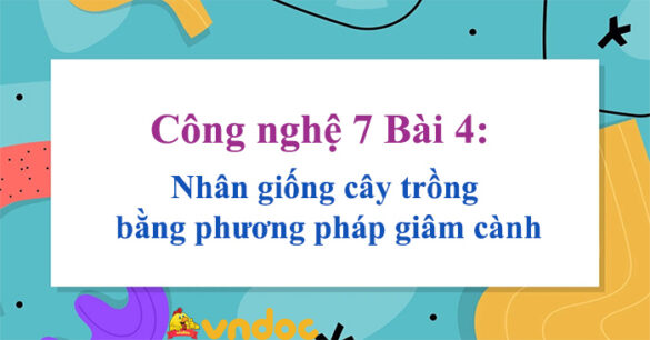 Công nghệ 7 Bài 4: Nhân giống cây trồng bằng phương pháp giâm cành