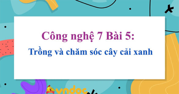 Công nghệ 7 Bài 5: Trồng và chăm sóc cây cải xanh