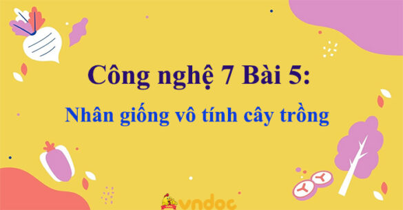 Công nghệ 7 Bài 5: Nhân giống vô tính cây trồng