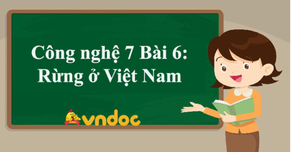 Công nghệ 7 Bài 6: Rừng ở Việt Nam