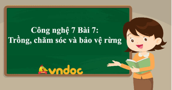 Công nghệ 7 Bài 7: Trồng, chăm sóc và bảo vệ rừng