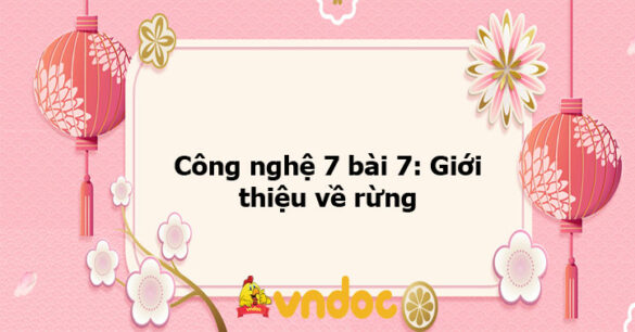 Công nghệ 7 bài 7: Giới thiệu về rừng - KNTT