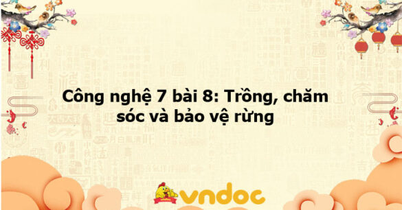 Công nghệ 7 bài 8: Trồng, chăm sóc và bảo vệ rừng - KNTT