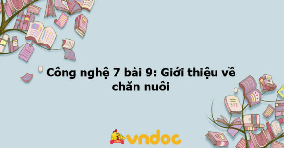 Công nghệ 7 bài 9: Giới thiệu về chăn nuôi - KNTT