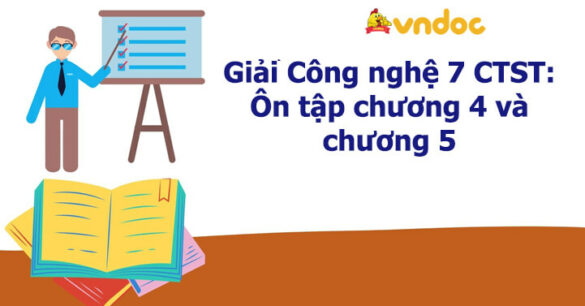 Công nghệ 7 Ôn tập chương 4 và chương 5 Chân trời sáng tạo