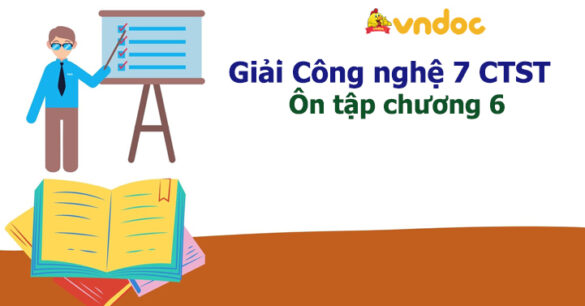 Công nghệ 7 Ôn tập chương 6 Chân trời sáng tạo