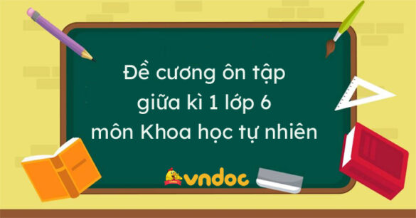 Đề cương ôn tập giữa kì 1 lớp 6 môn Khoa học tự nhiên năm 2023