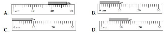 Đề thi giữa học kì 1 lớp 6 KHTN