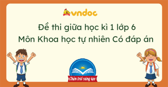 Top 3 Đề thi giữa kì 1 KHTN 6 Chân trời sáng tạo năm 2023