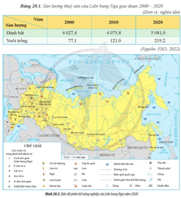 Câu hỏi trang 97 Địa Lí 11