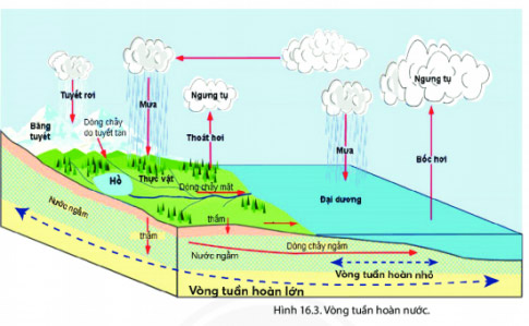 Giải Địa lí 6 sách CTST