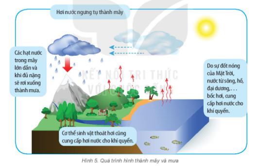 Địa lí 6 bài 16 Kết nối tri thức