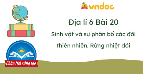 Địa lí 6 Bài 20: Sinh vật và sự phân bố các đới thiên nhiên. Rừng nhiệt đới