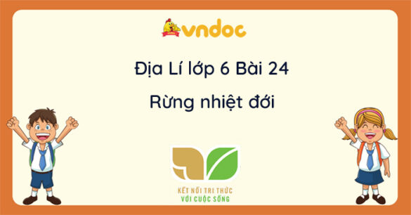 Địa lí 6 Bài 24 Rừng nhiệt đới Kết nối tri thức