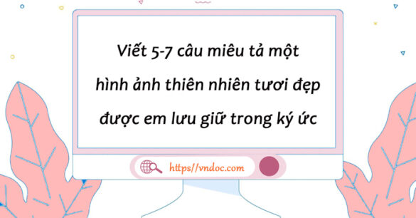 Đoạn văn miêu tả một hình ảnh thiên nhiên tươi đẹp