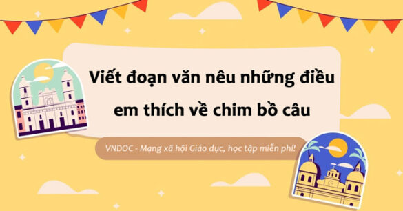 Đoạn văn nêu những điều em thích về chim bồ câu lớp 8