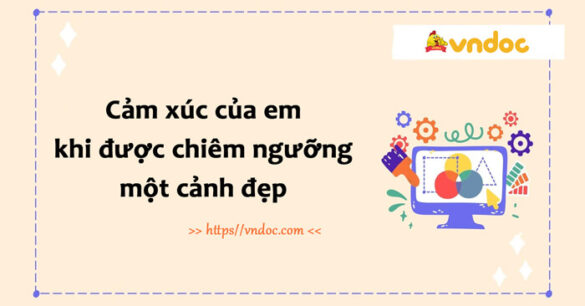 Đoạn văn thể hiện Cảm xúc khi được chiêm ngưỡng một cảnh đẹp có chứa thành phần biệt lập lớp 8