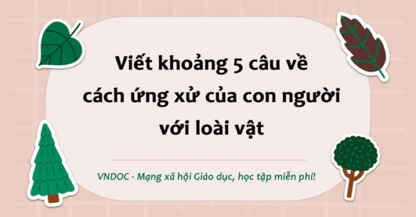 Đoạn văn về cách ứng xử của con người với loài vật lớp 8