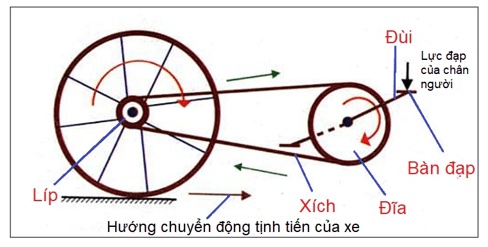 Khoa học tự nhiên 8