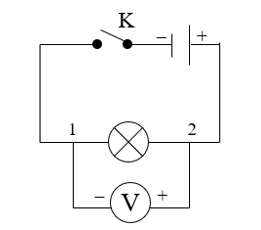 Khoa học tự nhiên 8