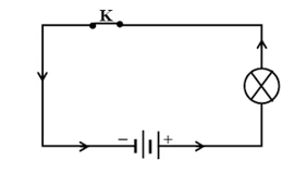 Khoa học tự nhiên 8