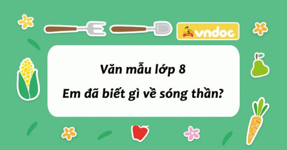 Em đã biết gì về sóng thần lớp 8