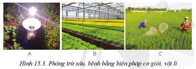 Giải Công nghệ 10 Bài 15