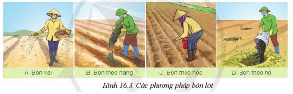 Giải Công nghệ 10 Bài 16