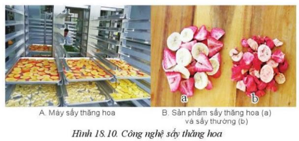 Giải Công nghệ 10 Bài 18