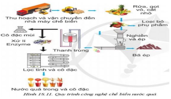 Giải Công nghệ 10 Bài 18