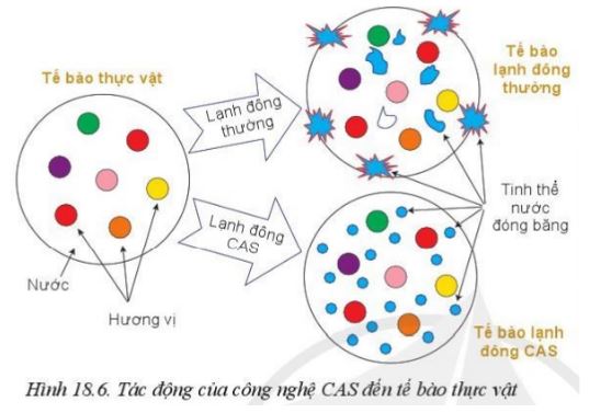 Giải Công nghệ 10 Bài 18