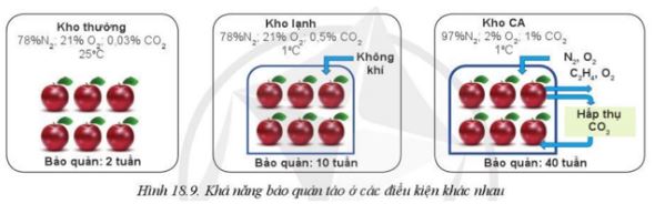 Giải Công nghệ 10 Bài 18