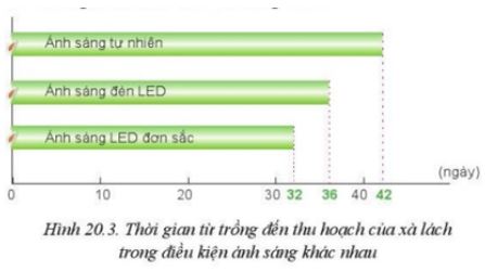 Giải Công nghệ 10 Bài 20