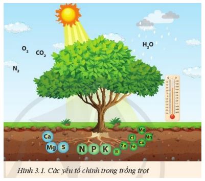 Giải Công nghệ 10 Bài 3