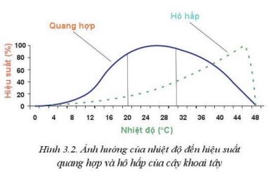 Giải Công nghệ 10 Bài 3