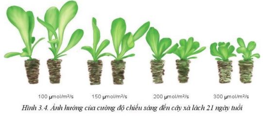 Giải Công nghệ 10 Bài 3