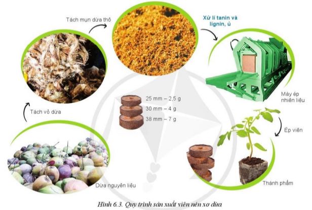 Giải Công nghệ 10 Bài 6