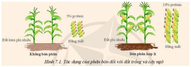 Giải Công nghệ 10 Bài 7