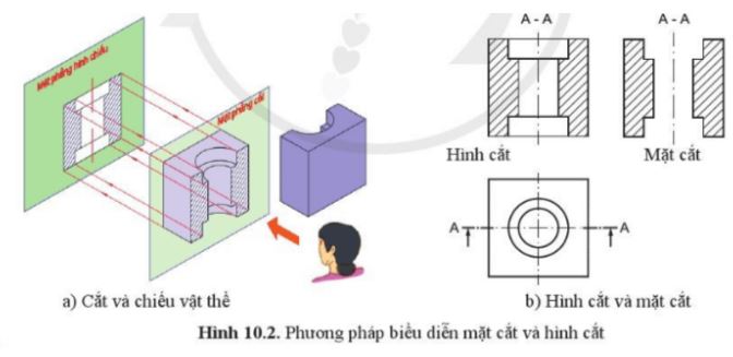 Giải Công nghệ 10 Bài 10