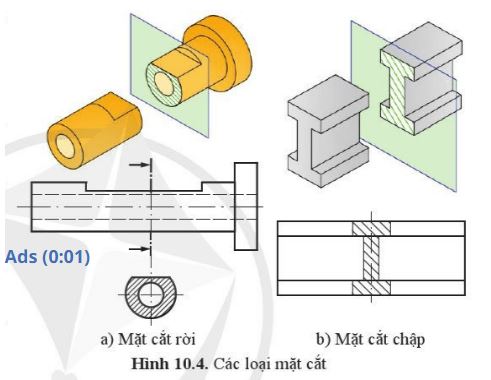 Giải Công nghệ 10 Bài 10