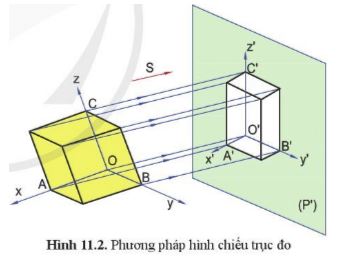 Giải Công nghệ 10 Bài 11